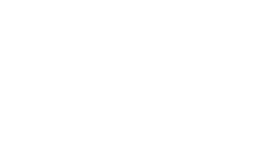V&L Performance logo